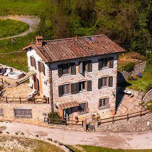 Fenice - Borgo a Mozzano